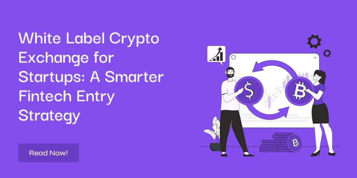 White Label Crypto Exchange for Startups: A Smarter Fintech Entry Strategy