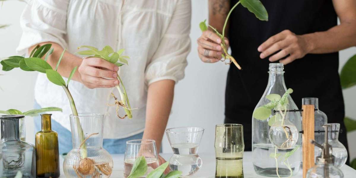 Ayurveda Course: Build a Rewarding Career in Natural Healthcare