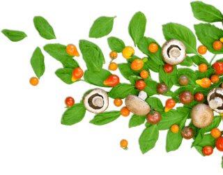 Ayurveda Research Center in Kerala | Lords Ayurveda!