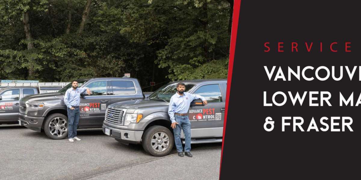 Professional Pest Control Services in Canada for Safe & Reliable Pest Removal