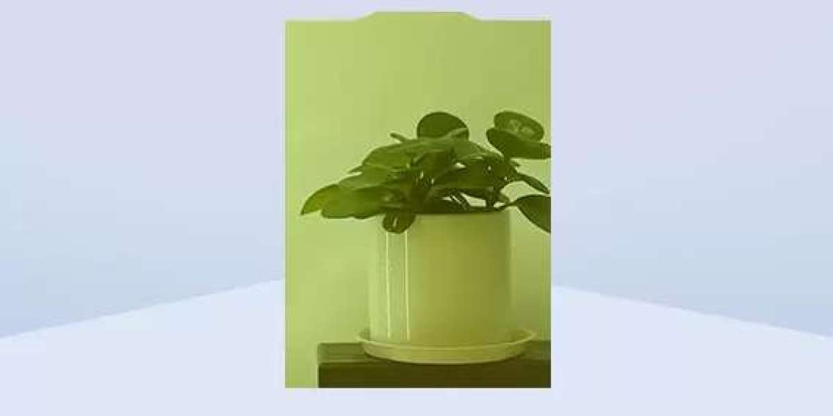 Laminated Smart Film vs. Self-Adhesive Smart Film: How to Choose the Right Solution
