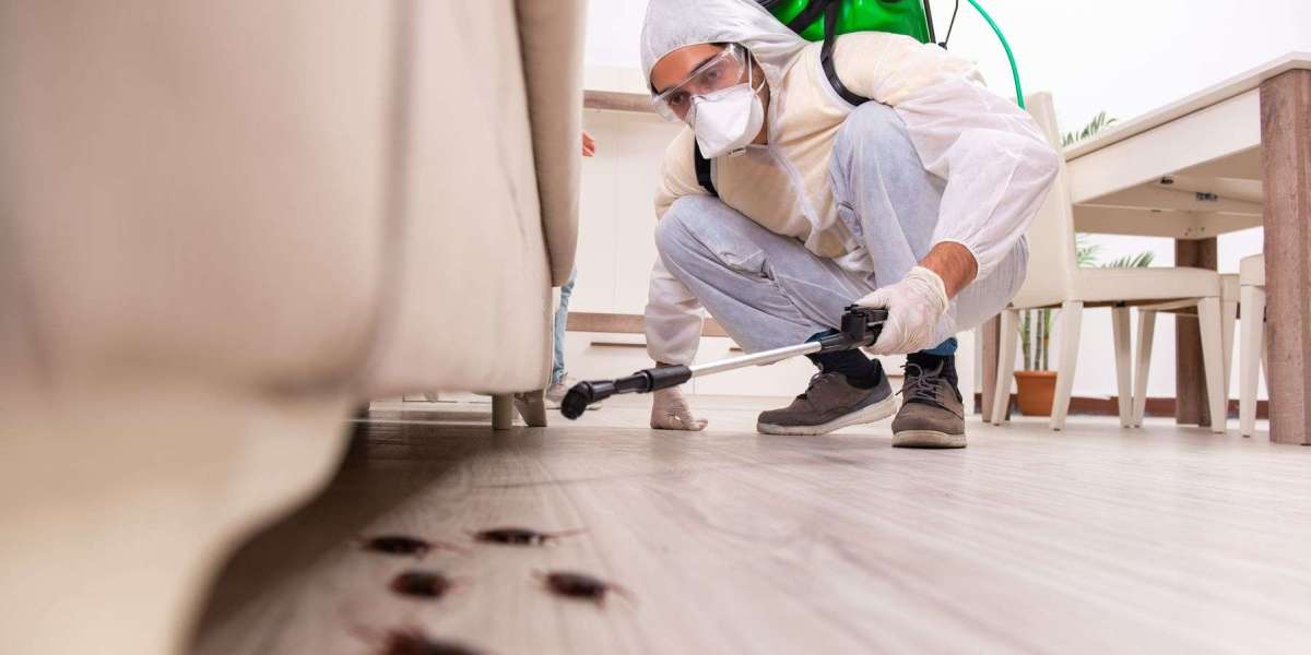 Residential Pest Control: Understanding Common Household Pest Problems