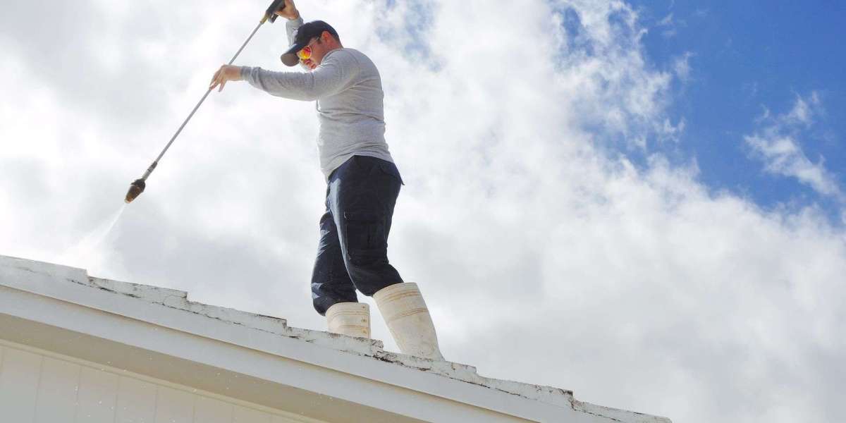 Professional Roof Cleaning Services: What Escondido Homeowners Should Know