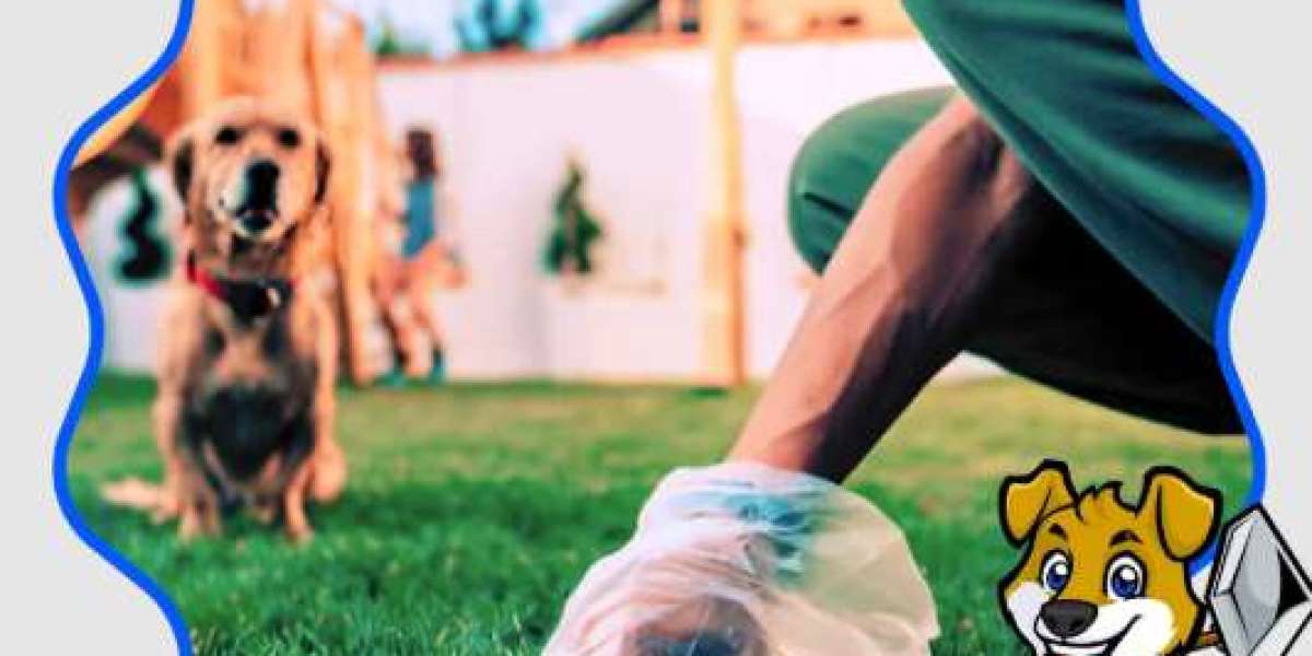 Reliable Dog Poop Pickup in DFW: A Simple Solution for a Cleaner Yard