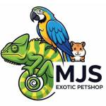 MJS Exotics