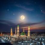 Qalam Travels
