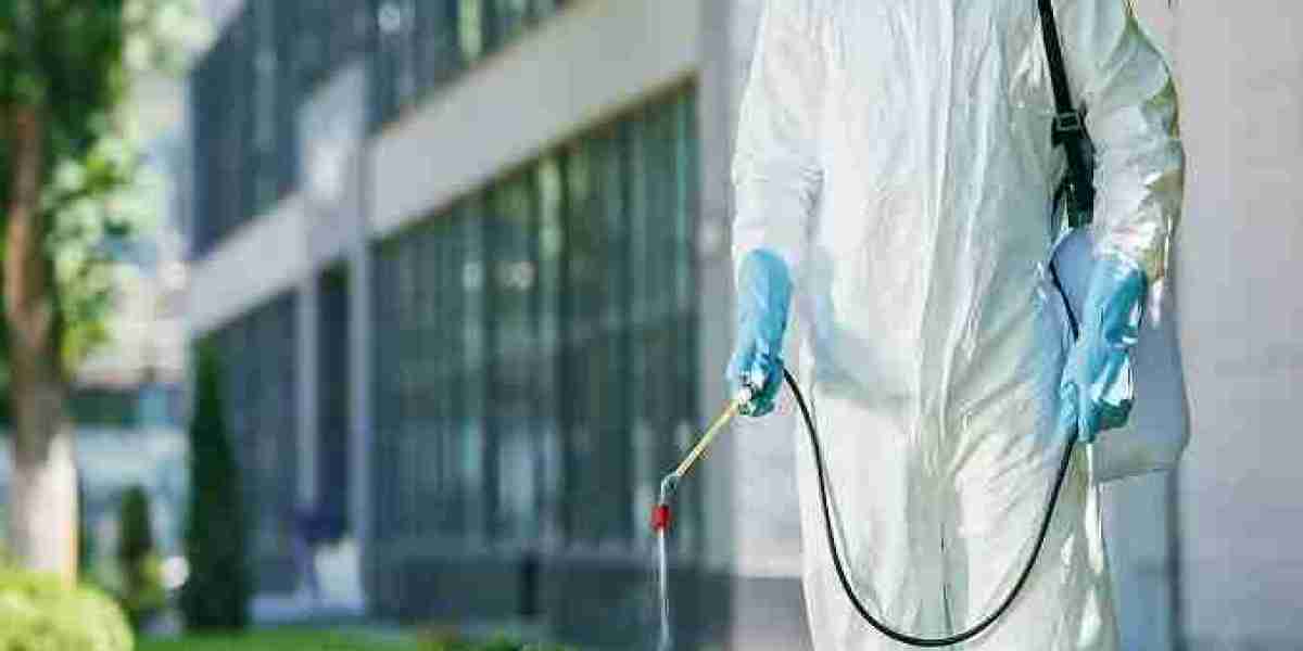 Pest Control Tsawwassen: A Smarter Approach to a Cleaner and Pest-Free Property