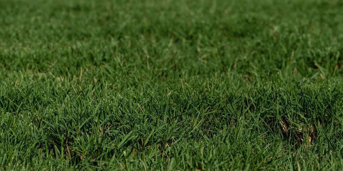 Residential Sod Installation Services and Artificial Grass Installation in Dallas TX