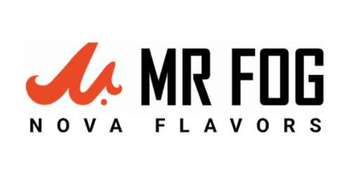 Understanding Fruit, Mint, and Classic Flavor Options at Mr Fog Nova Flavors